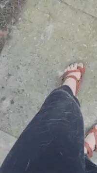 Calça coberta de pelos de animal